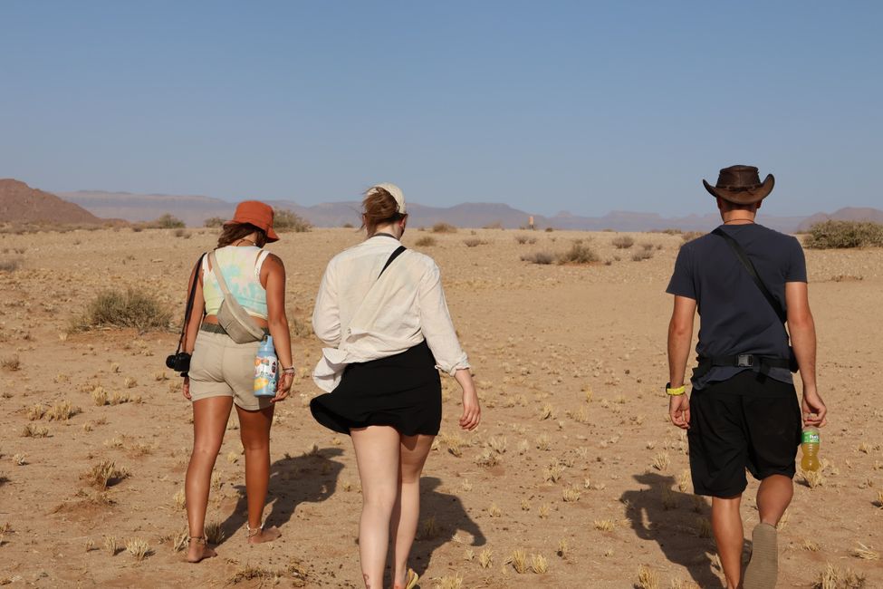 Desierto de Namibia 🏜️