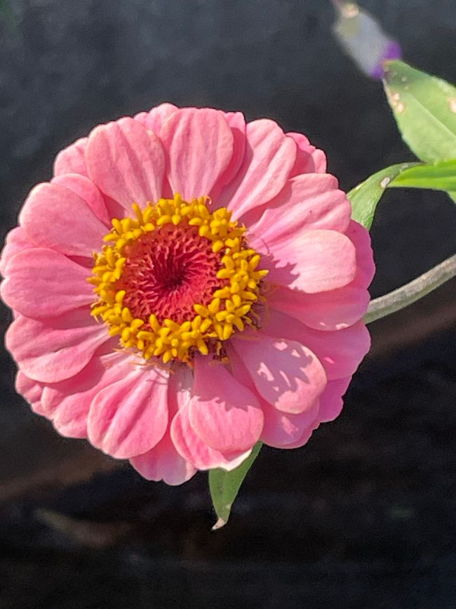 4.Kapitel: Ein bisschen vorzeitig ins Paradies