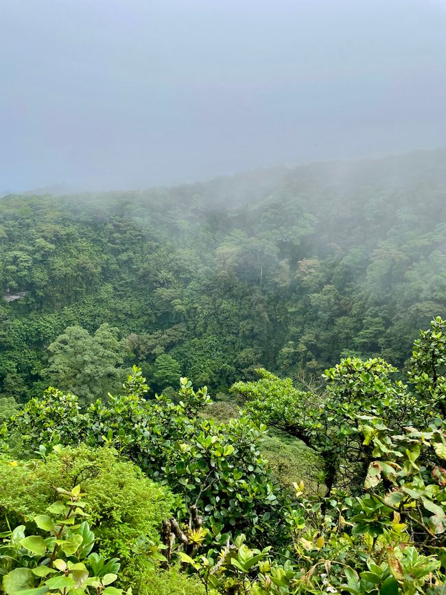 el sendero
