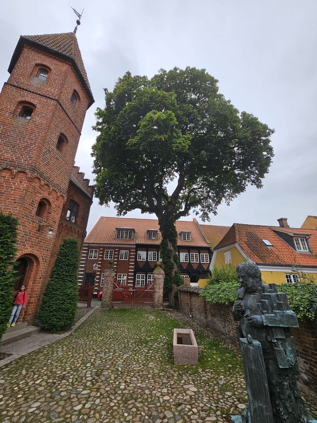 Ribe