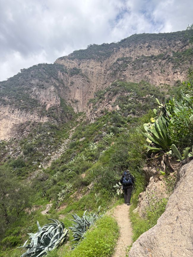 Canyon de Colca