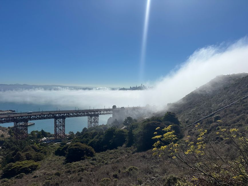 California Westcoast: Dillon Beach y SanFran