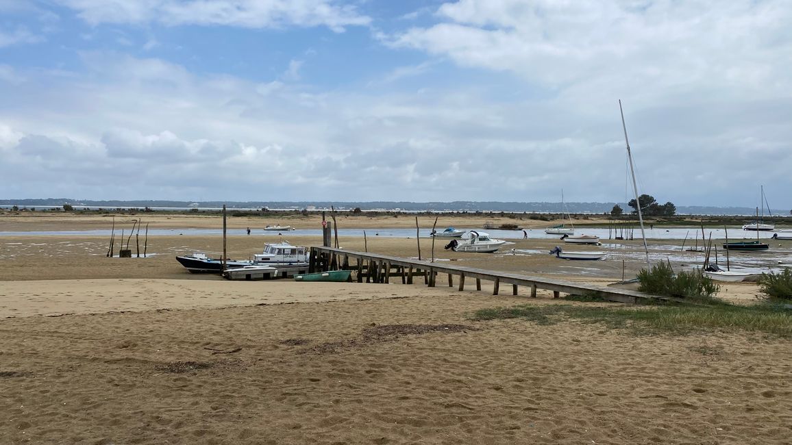 CAP FERRET-Austernzucht