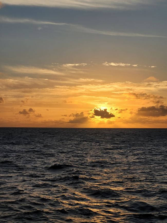 Tag 19: 6 Uhr Ortszeit - morgen um diese Zeit könnte außer Sonne, Wolken und Meer Barbados in Sicht sein. 