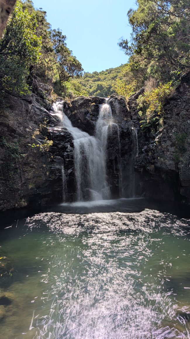 Tag 11: Levada do Alecrim und ein Open Air Festival