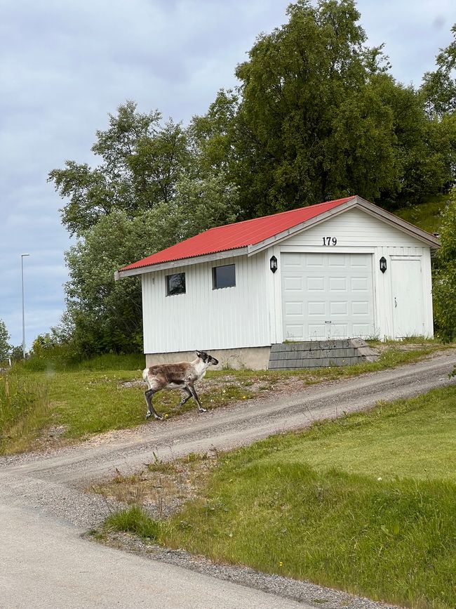 Porto di Hennigsvær