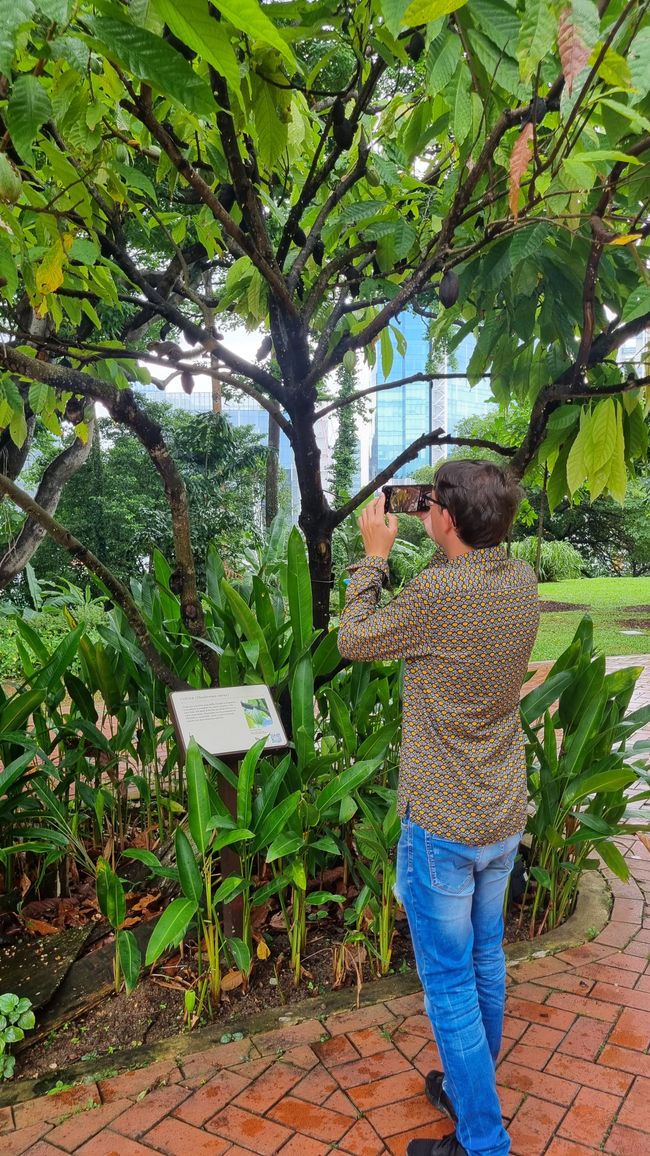 Singapur 17.-21. November 2025