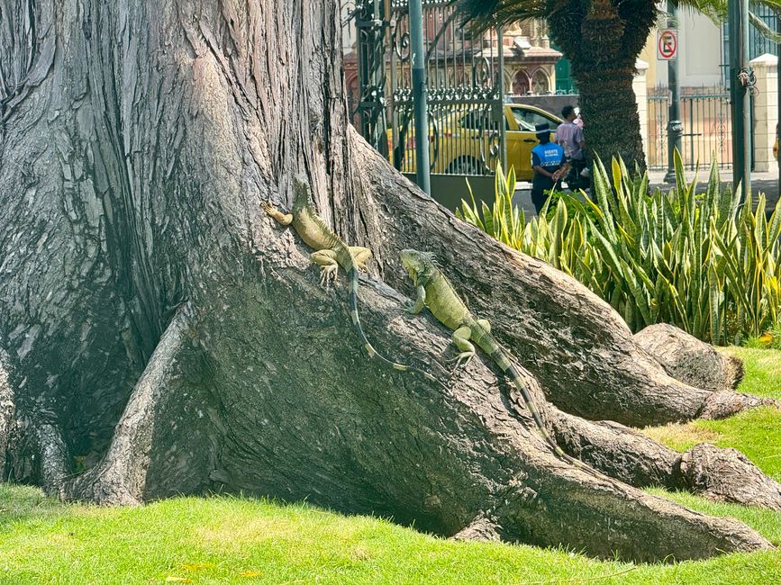 Parque Seminario