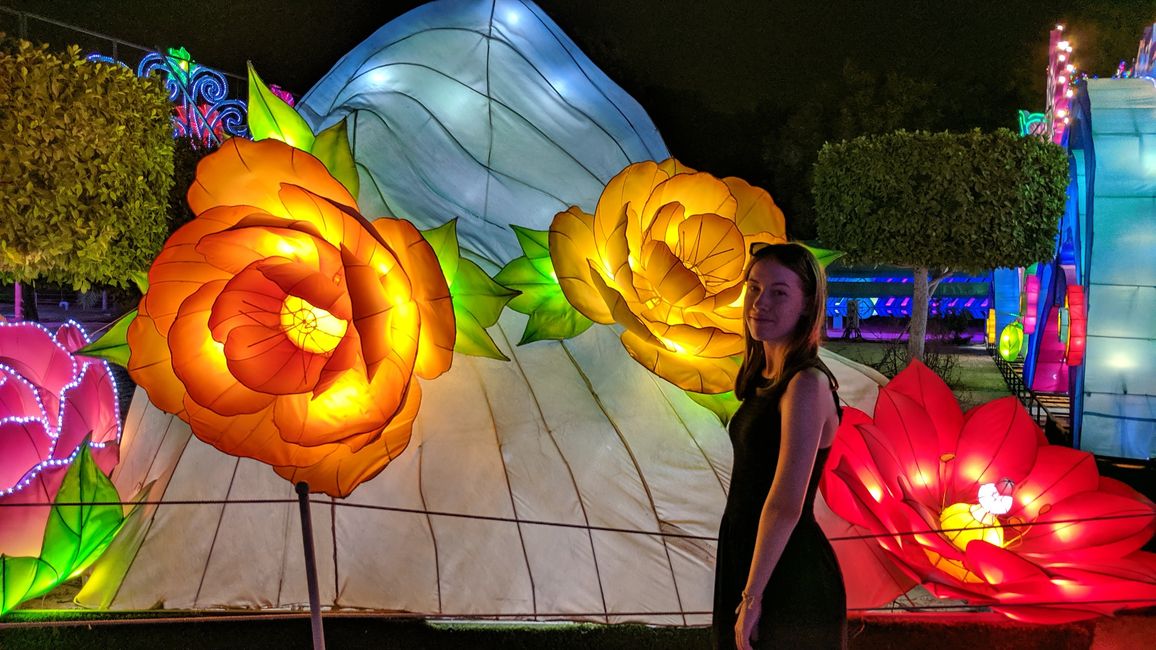 标签 11 (2019) 幻觉博物馆，迪拜框架，迪拜花园光彩与迪拜喷泉