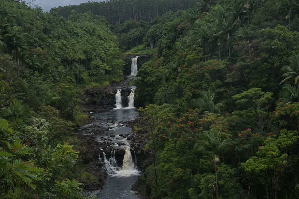 Chutes Umauma