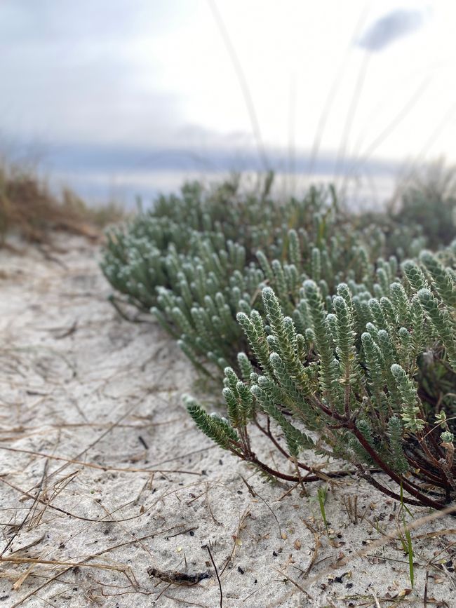 About the KariKari beach to Whangarei