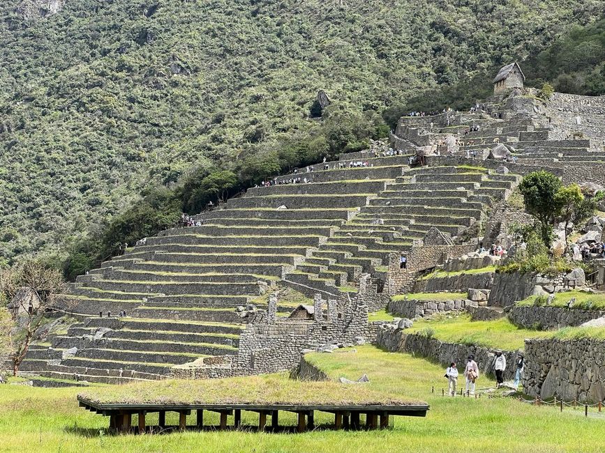 👷‍♂️Tag 26-2 (3.11.) Machu Picchu, die alte Inca-Stadt