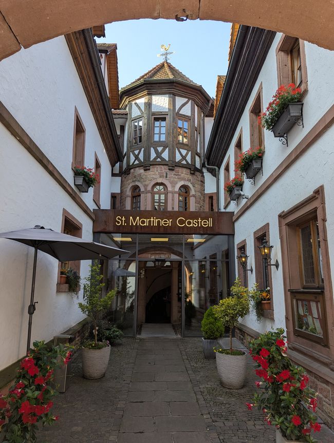Dalle Foreste Nere in Pfalz