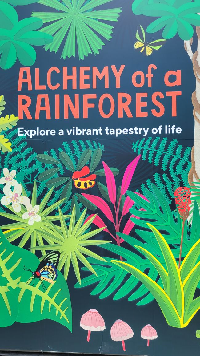 Heute königliches Programm – Royal Botanical Garden in Sydney