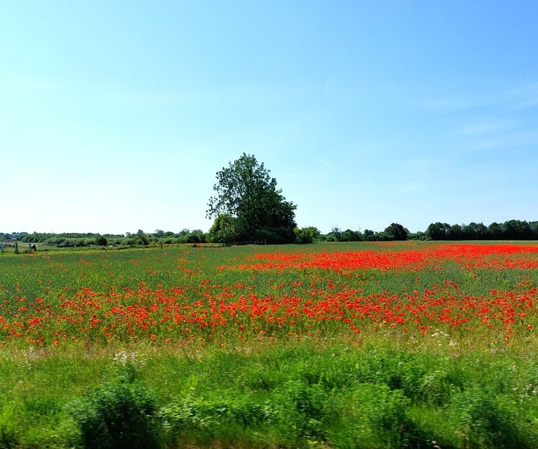 Le long de l'autoroute 