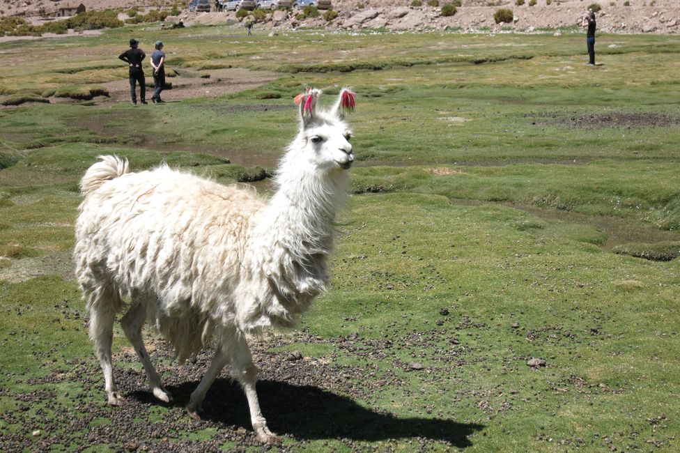 El desierto de sal en Bolivia