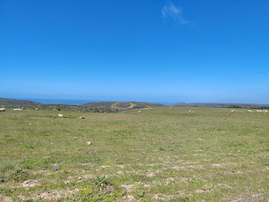 Sagres -> Vila do Bispo