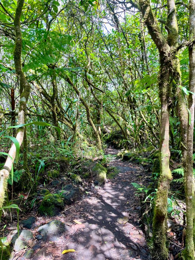 ich bin kaum Menschen begegnet