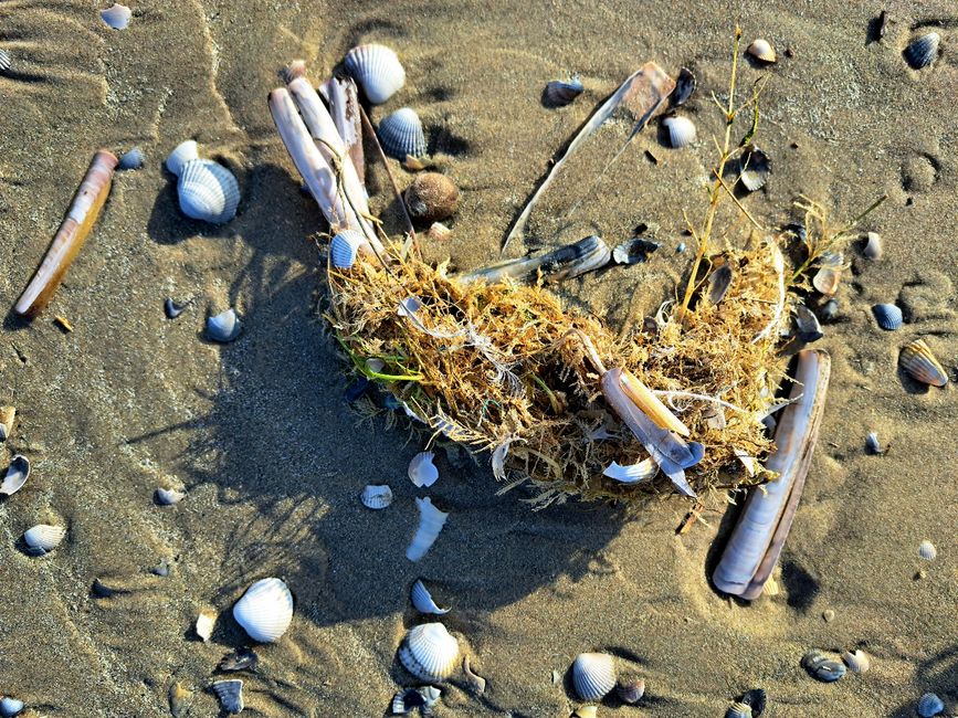 Strand-Gut-Kunst