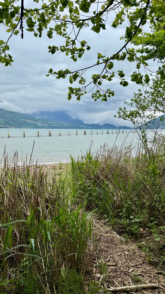 Von Freiburg nach Interlaken - Städtetour, Wings for Life & Wanderglück