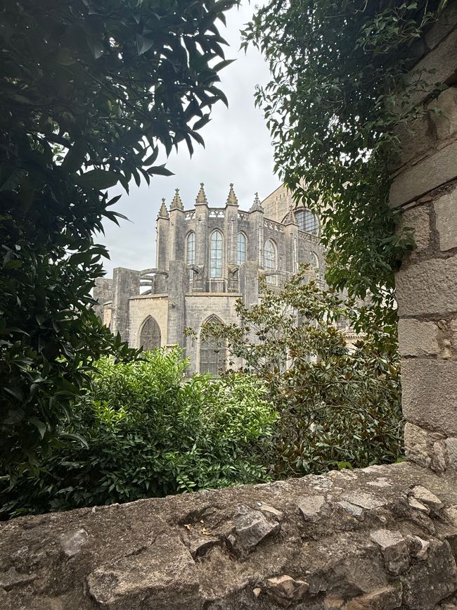 Excursiones a Girona, Pals y Begur