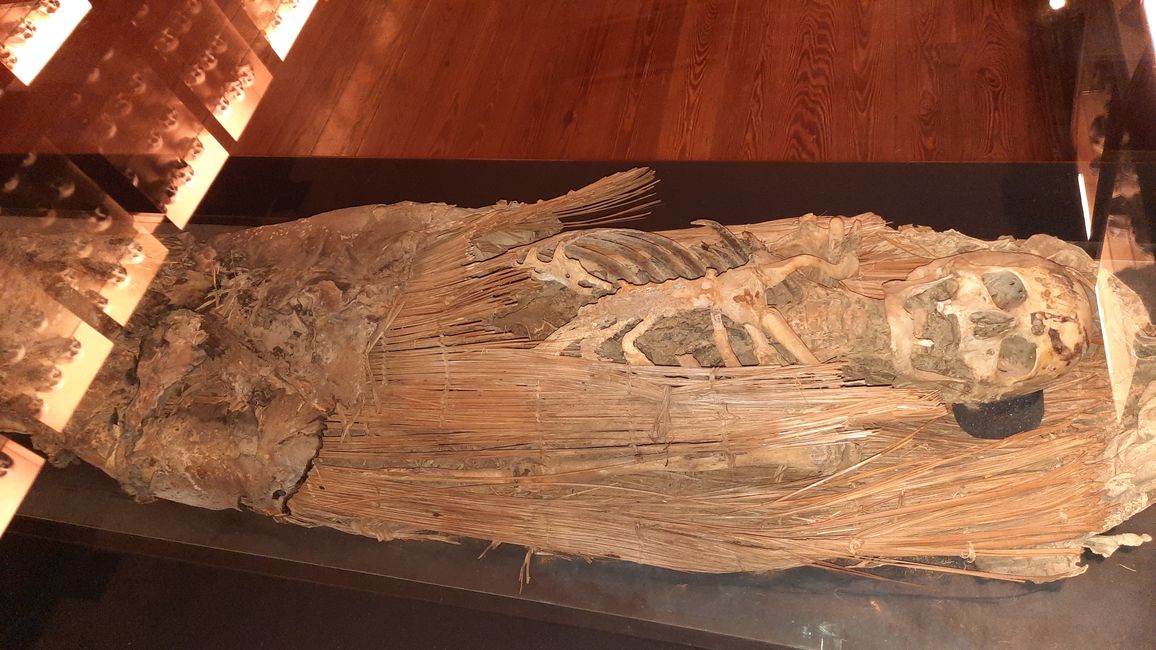 Around 1000 skeletons, many mummies