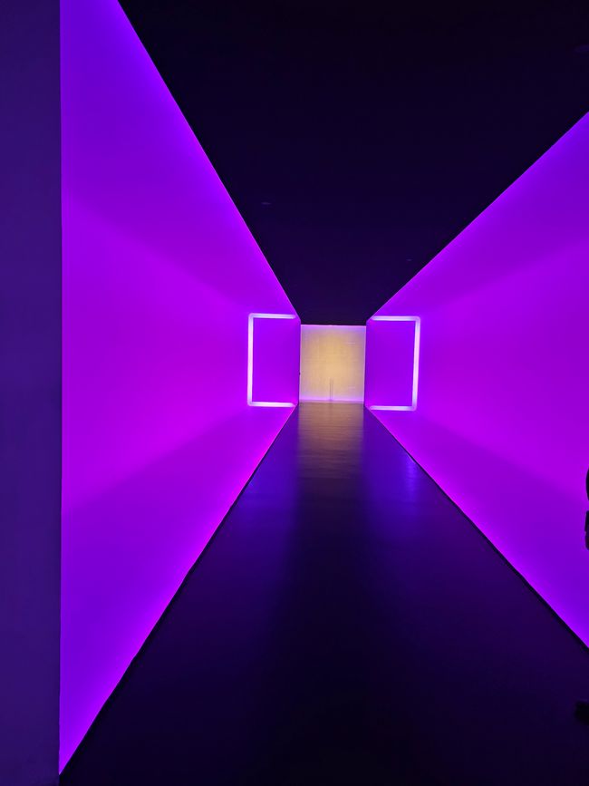 MFAH Photos de Hannes