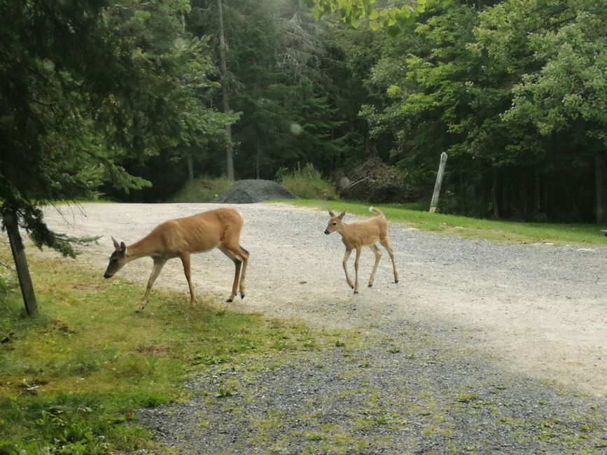 In front of our car in Kenora