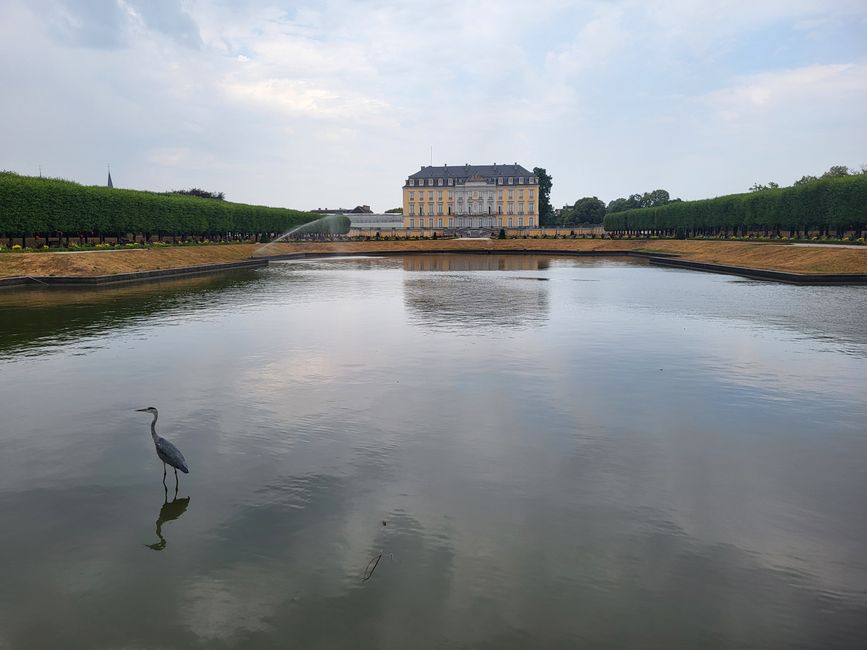 Schloss Augustusburg