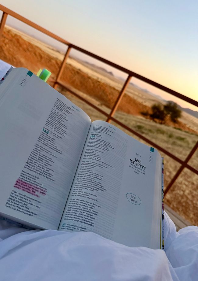 Namibia 2k25 🦓🏜️🐘