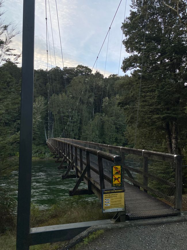 Among the glowing glowworms