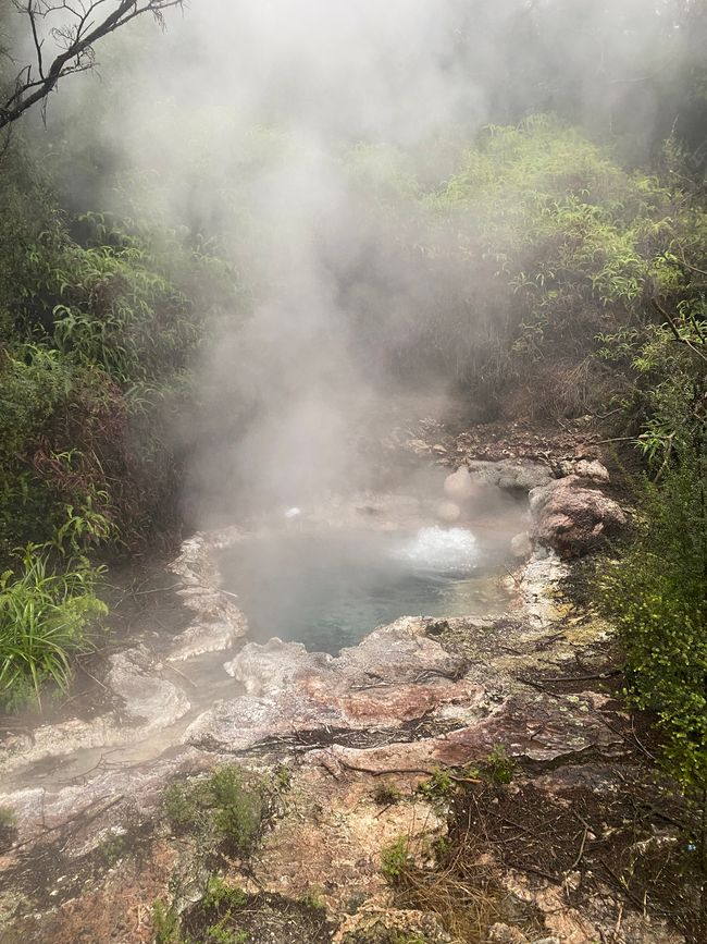 Geothermal Parks