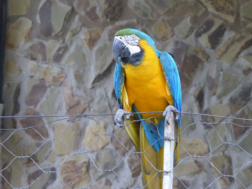 Refugio Canaa Brasil