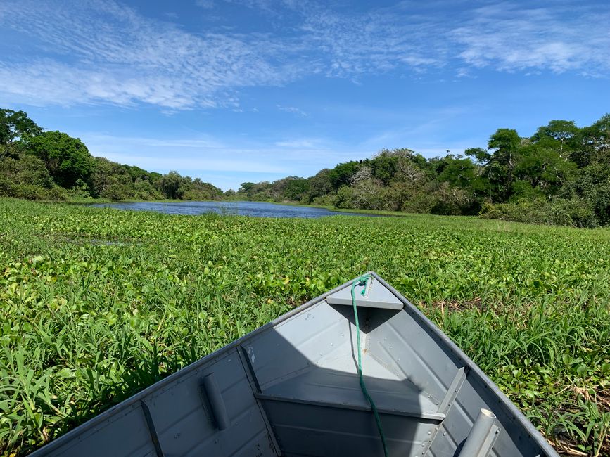 Trinidad (Chuchini Reservat)