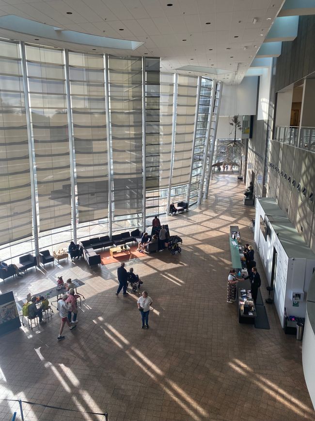 Lets do some Sightseeing