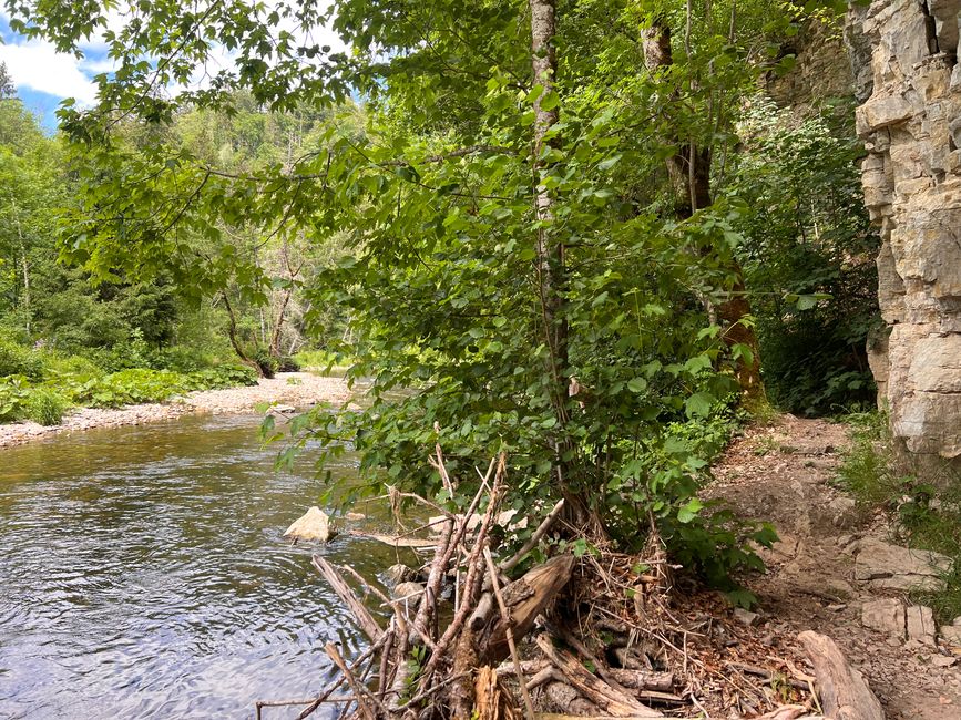 28 Wutachschlucht Pro Wolermoos