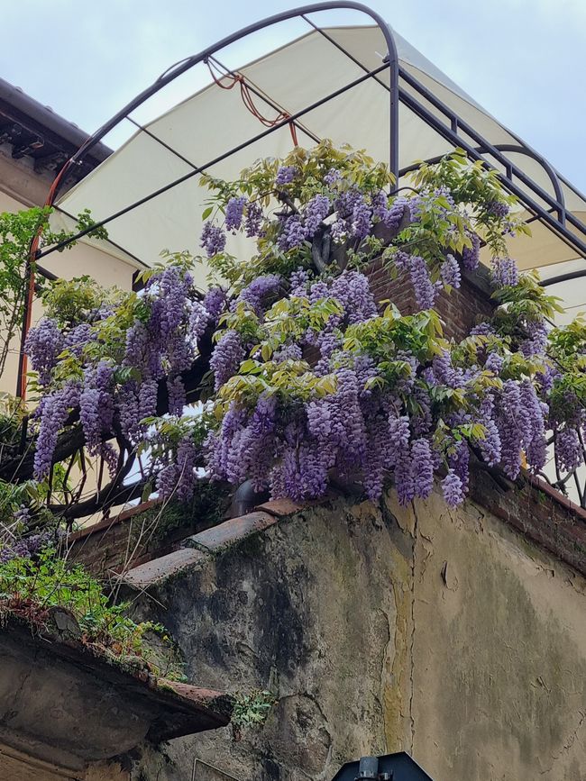 Italien im Frühling
Teil 1 Toscana