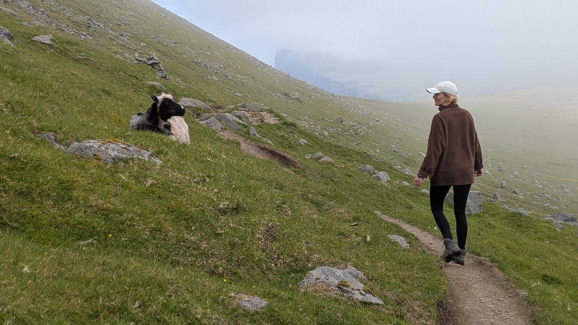 Noch eine Wanderung