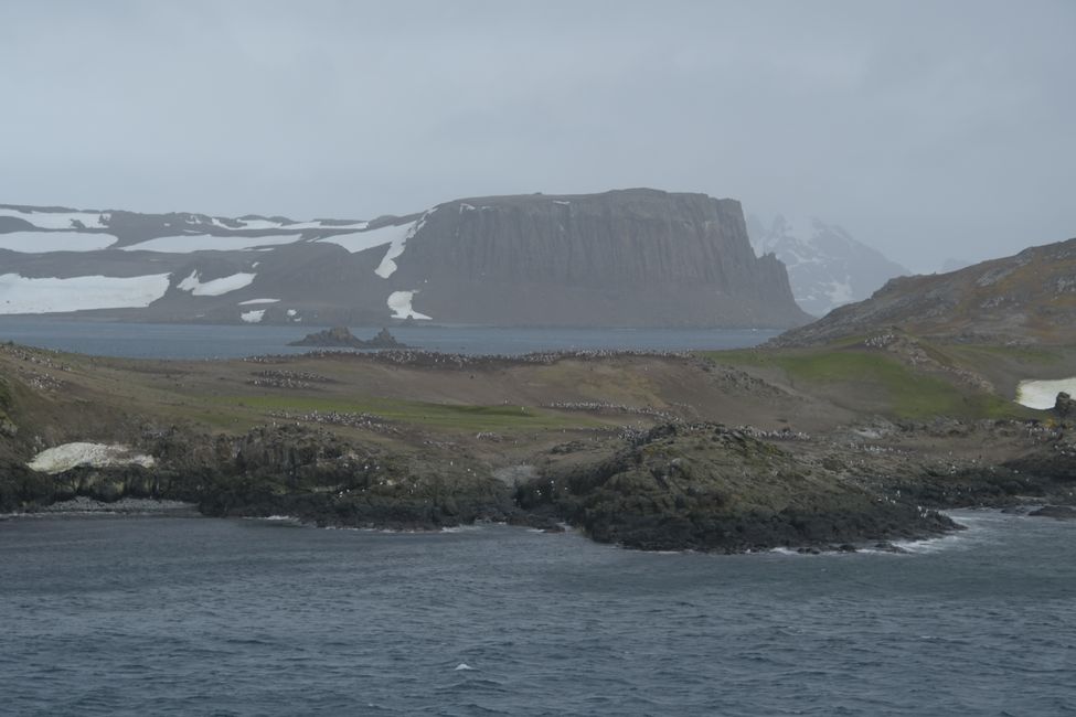 Barrientos Island: Landungsgebiet / Landing site