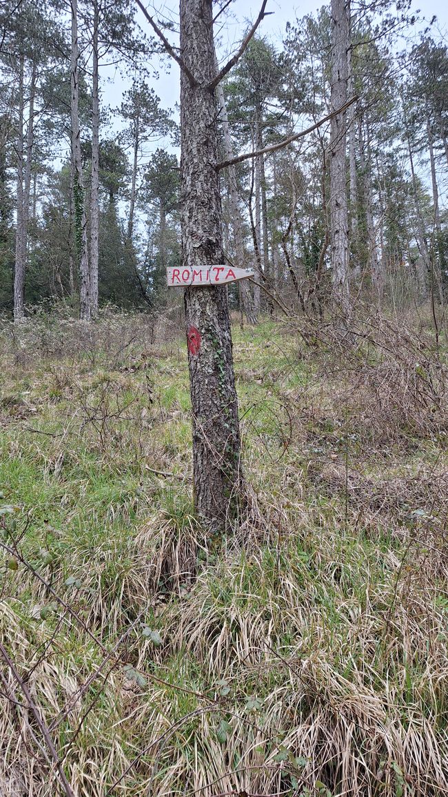 Der erste Hinweis auf das Kloster