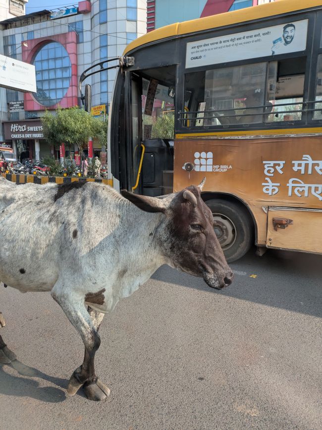 Jabalpur