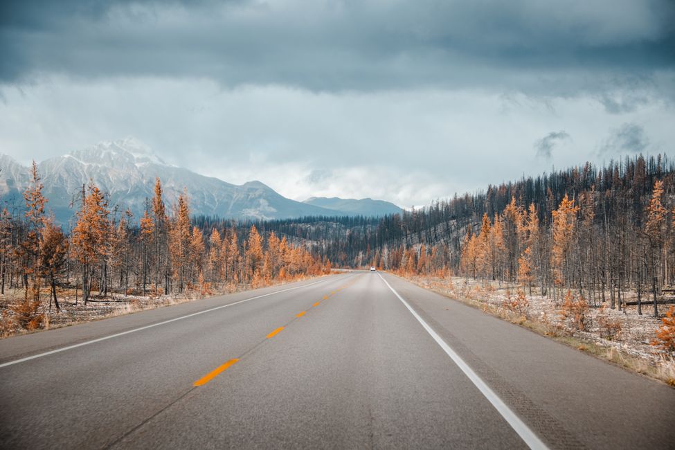 Autofahrt Lake Louise -> Jasper & de Waldbrand