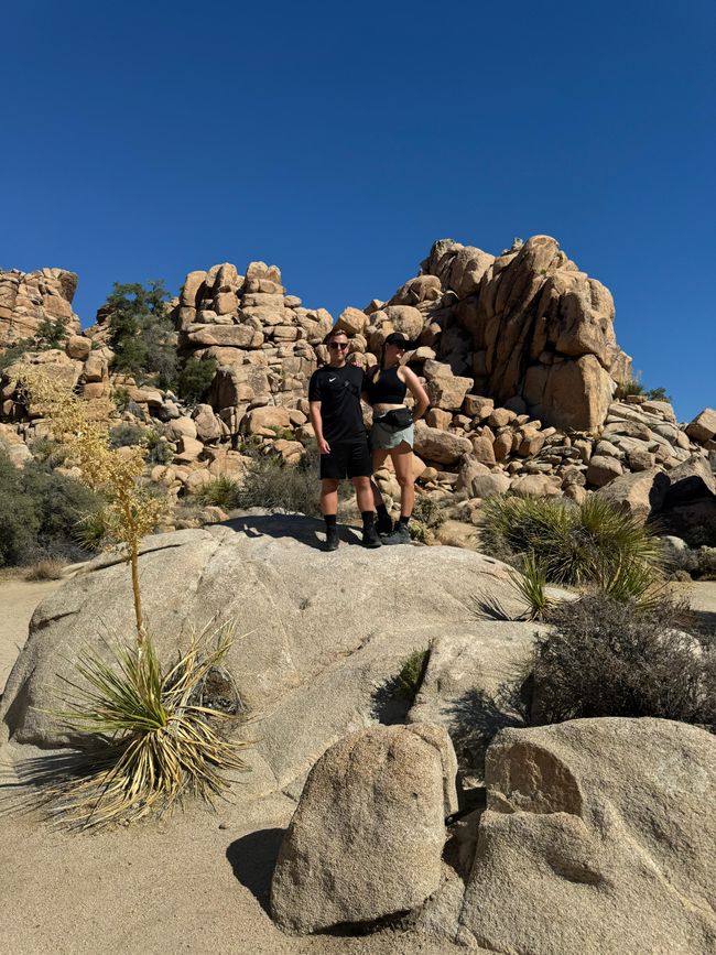 26.09. Joshua Tree Park