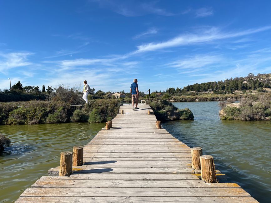 Holzstege durch die Lagunen 