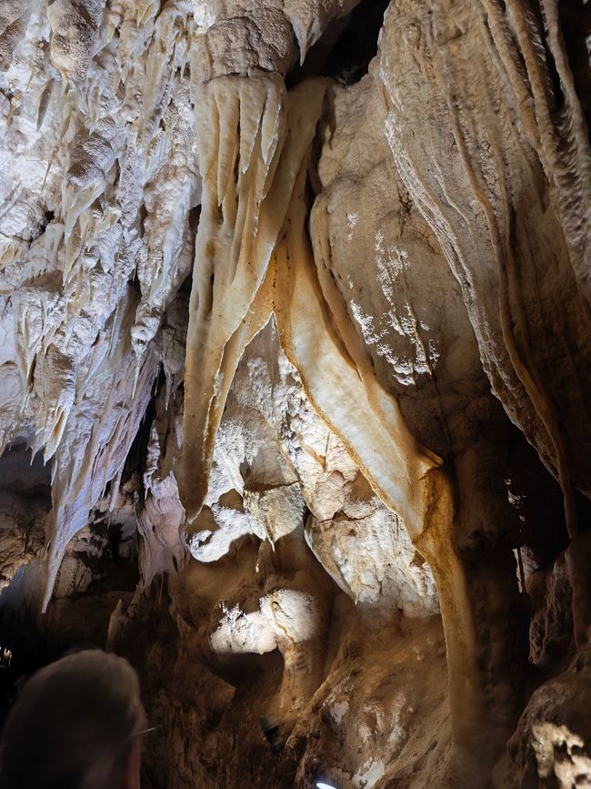 Grotte di Waitomo ....