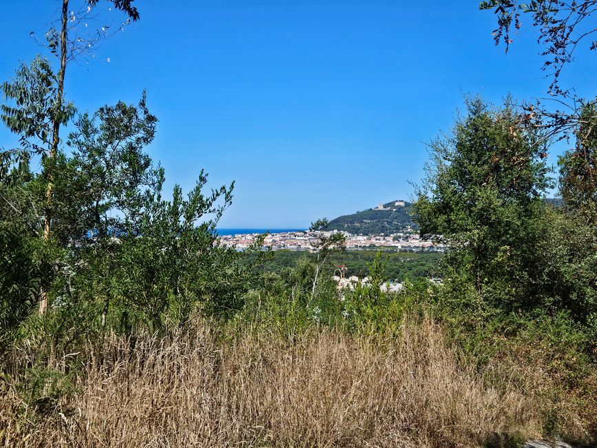 Blick auf Viana do Castelo