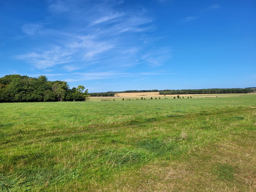 Landscape Tour 