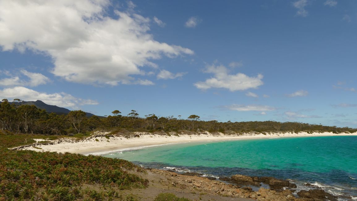 - Singapur & Tasmania 2019 -