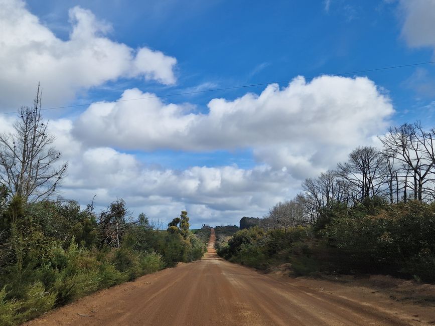 On Kangaroo Island