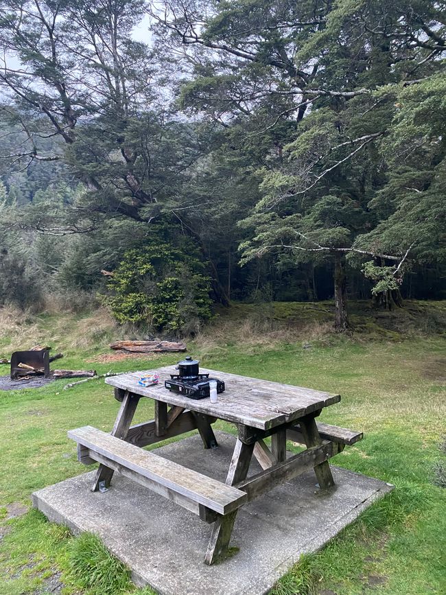 Road trip to Milford Sound